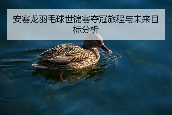 安赛龙羽毛球世锦赛夺冠旅程与未来目标分析